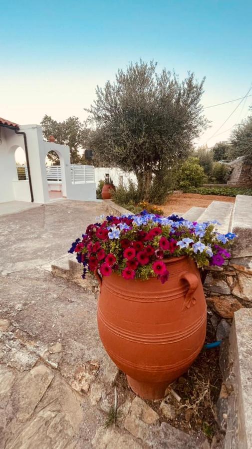 Havania Studio Agios Nikolaos  Exterior photo